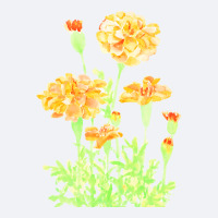 Orange Mexican Marigold Flowers T  Shirtorange Mexican Marigold Flower Trucker Cap | Artistshot