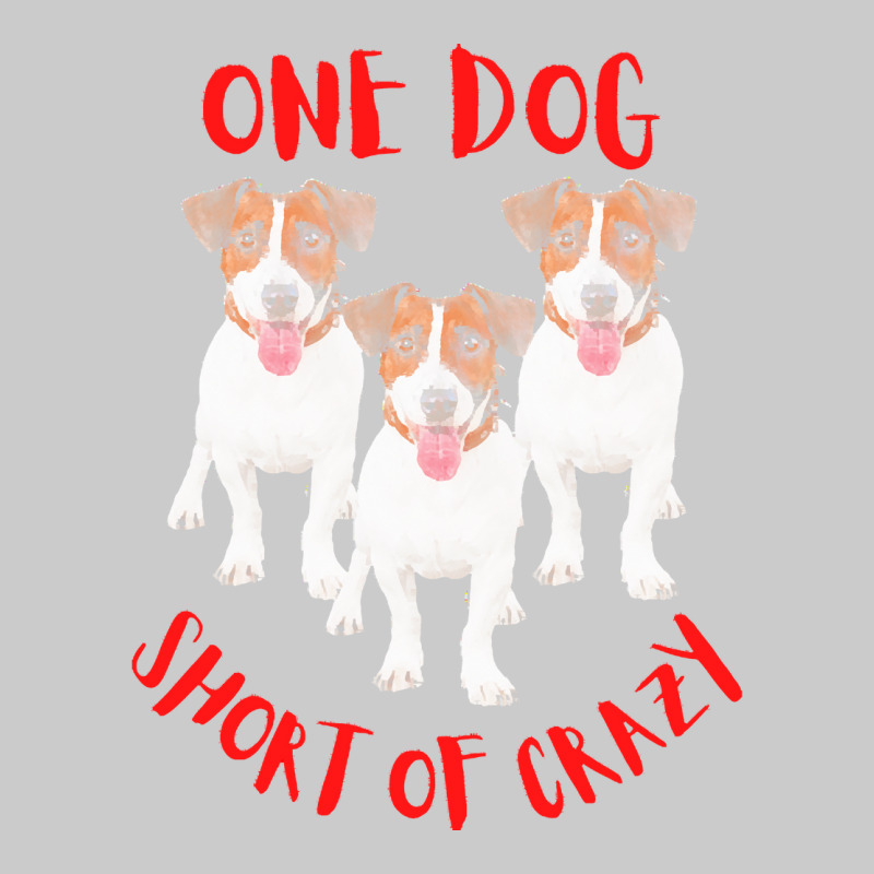 One Dog Short Of Crazy T  Shirtone Dog Short Of Crazy T  Shirt (18) Flat Bill Snapback Cap | Artistshot