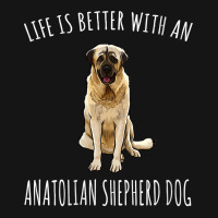 Womens Life Is Better With A Anatolian Shepherd Dog Lover V Neck T Shi Mesh Cap | Artistshot