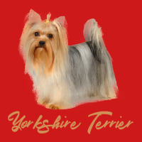 Dog Beautiful Yorkshire Terrier Especially For Yorkie Dog Lovers Puppy Baseball Cap | Artistshot