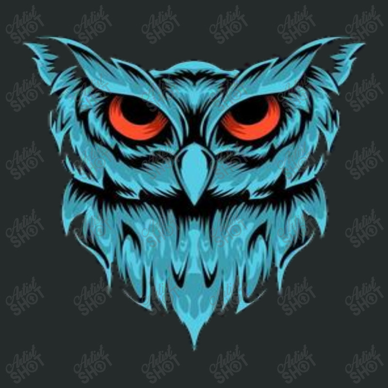 Owl Women's Triblend Scoop T-shirt by Mubin | Artistshot