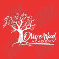 Olivewood Academy Elgin School Mesh Cap | Artistshot