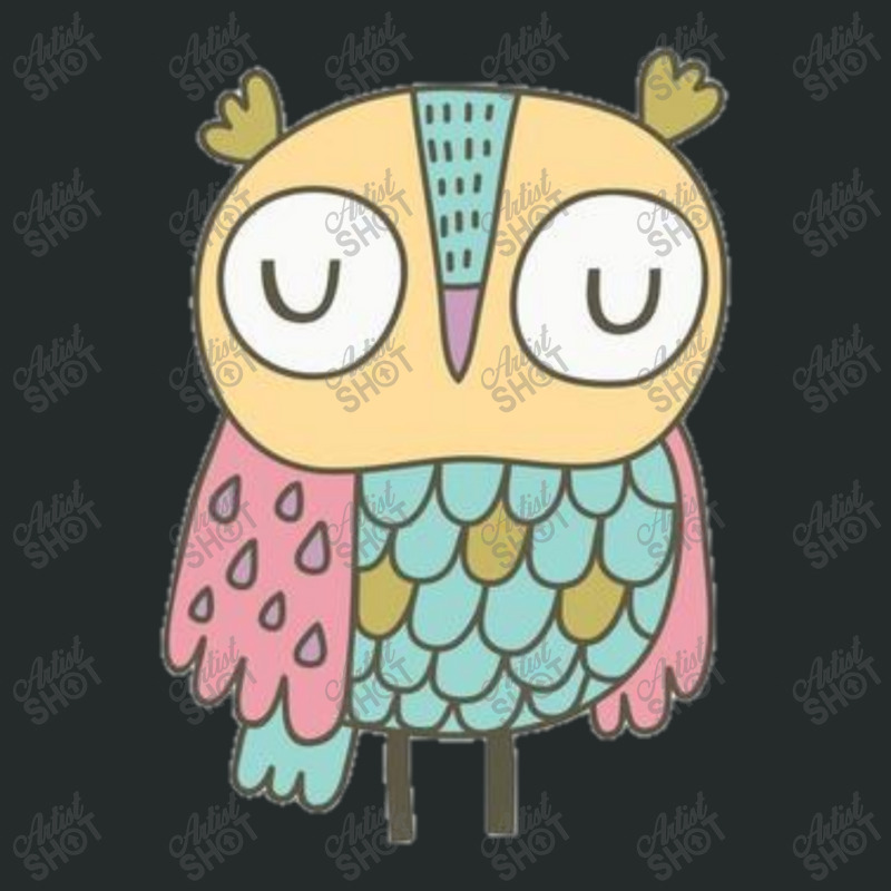 Owl Women's Triblend Scoop T-shirt by Mubin | Artistshot