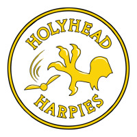 Holyhead Harpies Mart Paper Bag -13 X 7 X 17 | Artistshot