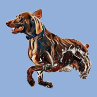 A Brown Dog Running In The Oc Racerback Tank | Artistshot