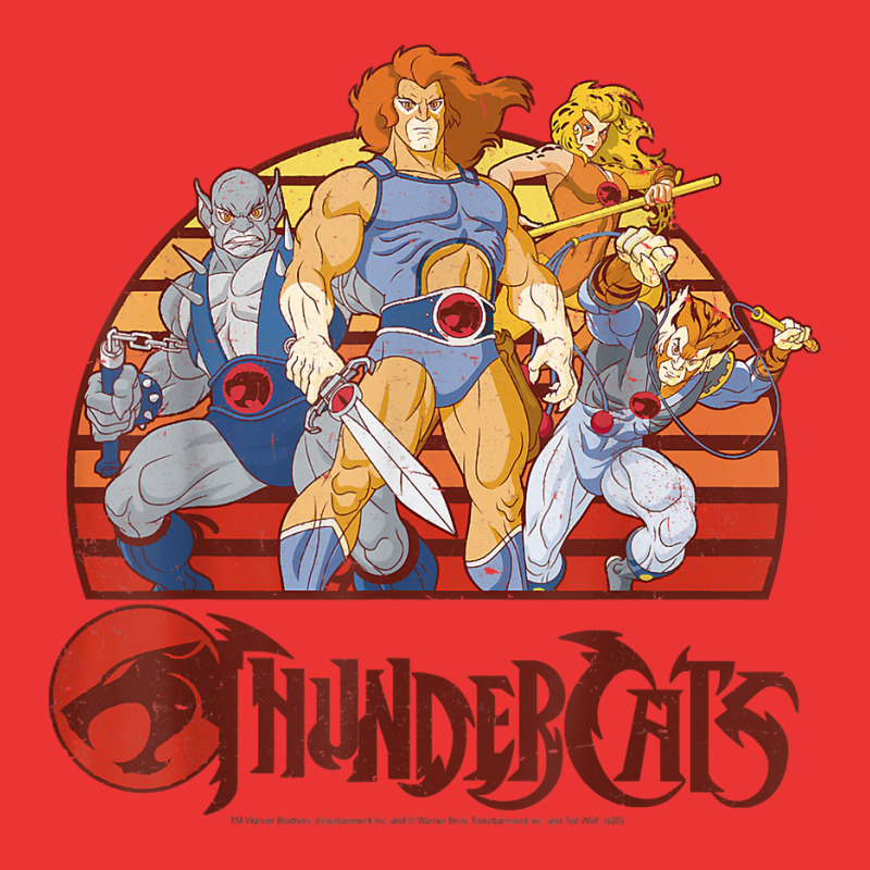 Thundercats Group Retro Sunset T Shirt Mesh cap by gehriglyssy | Artistshot