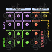 Particles Standard Model Higgs Boson Physics Teacher Student T Shirt Crop Top | Artistshot