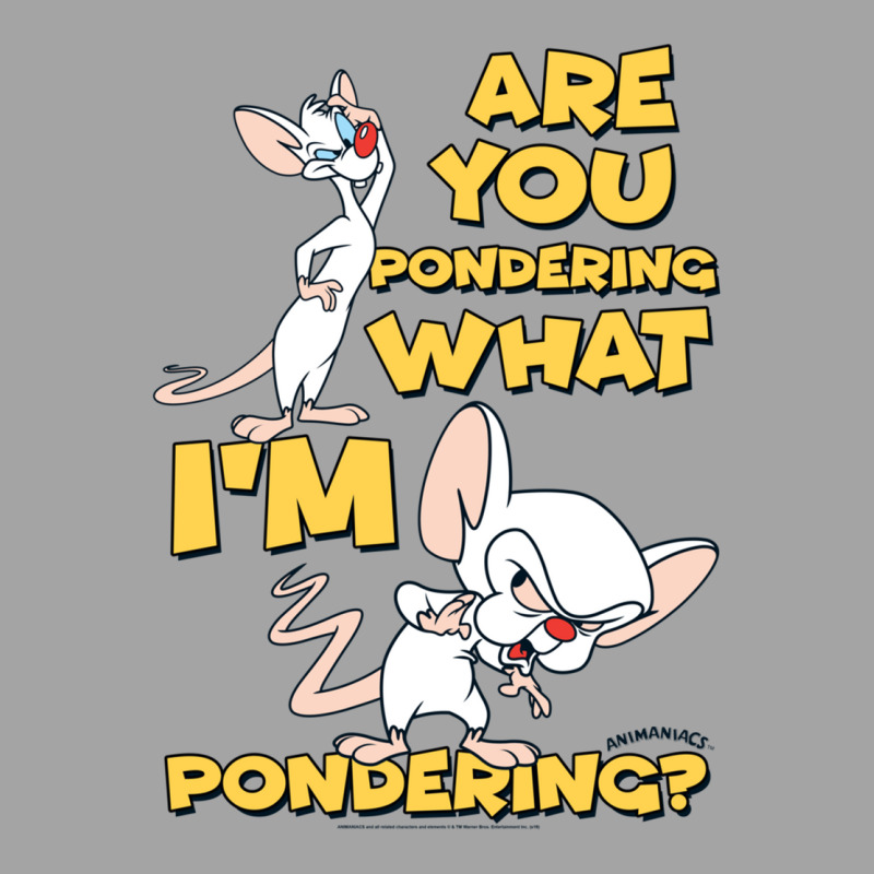 Pinky And The Brain Pondering Long Sleeve T Shirt Foam Trucker Hat | Artistshot