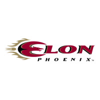 Elon Phoenix Star Paper Bag - 13 X 7 X 13 | Artistshot