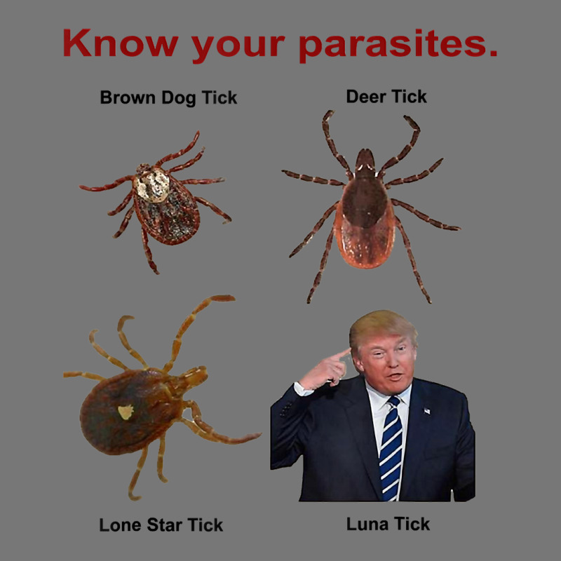 Know Your Parasites T Shirt  Trump Camo Snapback by evansjalayia | Artistshot