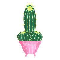 Naughty Cactus For Gag And Bachelor Party T Shirt Jumbo Paper Bag - 18 X 7 X 18 3/4 | Artistshot