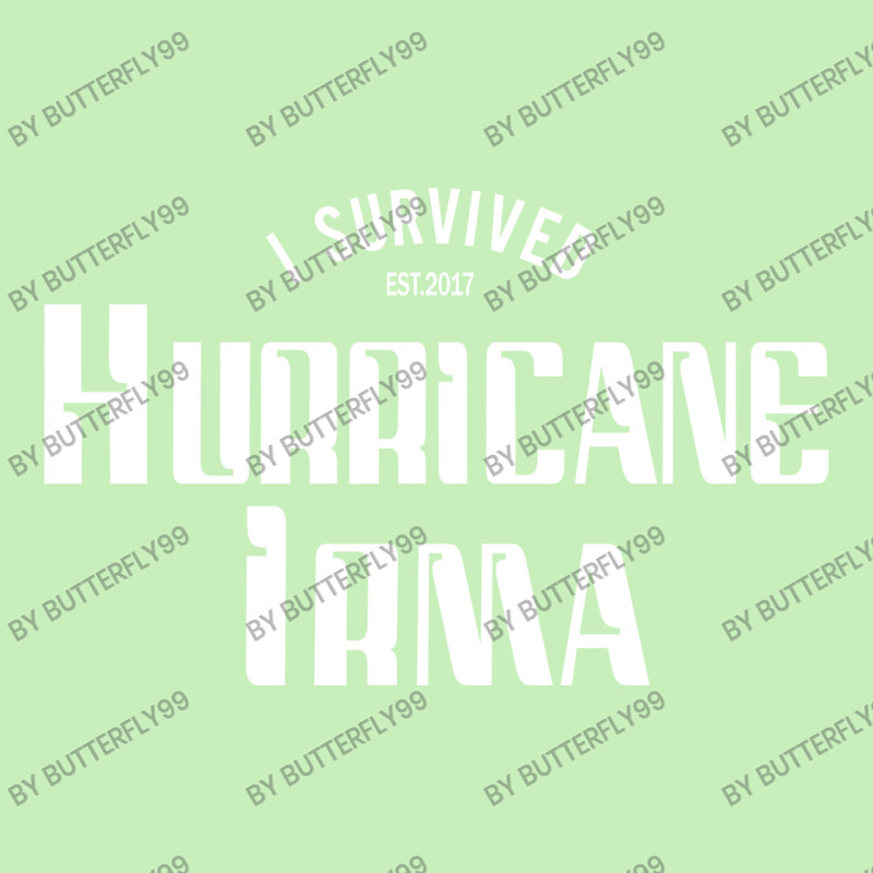 I Survived Hurricane Irma Urban Heavy T-shirt | Artistshot