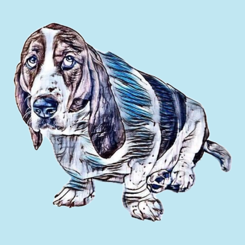 Basset Hound Dog Looking Up W Urban Pullover Hoodie | Artistshot