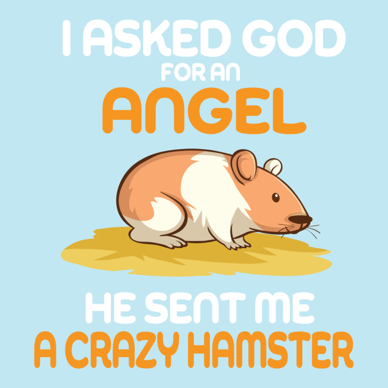 I Asked God  For An Angel He Sent Me A Crazy  Hamster Urban Pullover Hoodie by vip.pro123 | Artistshot