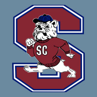 South Carolina State Bulldogs Urban Heavy T-shirt | Artistshot