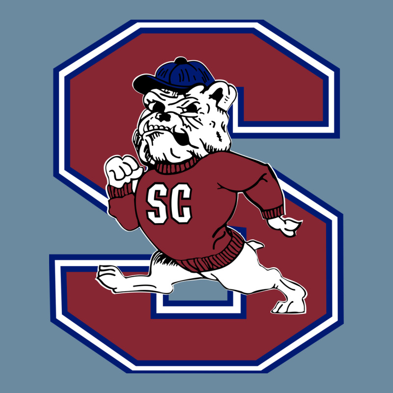 South Carolina State Bulldogs Urban Heavy T-shirt by diamonshop | Artistshot