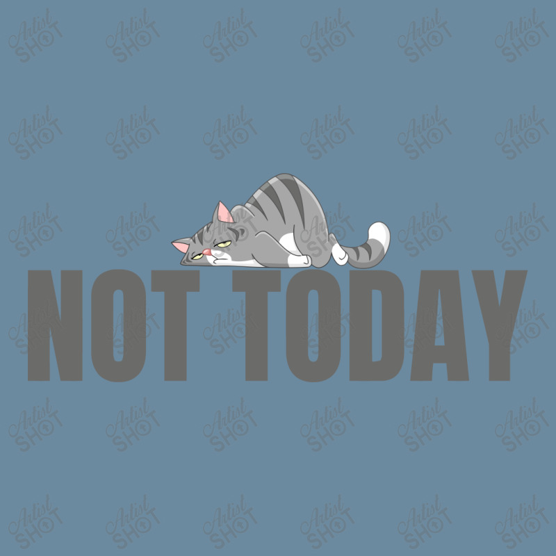 Nope Not Today Funny Lazy Cat Kitten Lover Urban Pullover Hoodie | Artistshot