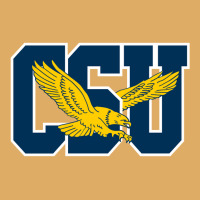 Coppin State Eagles L Urban Heavy T-shirt | Artistshot