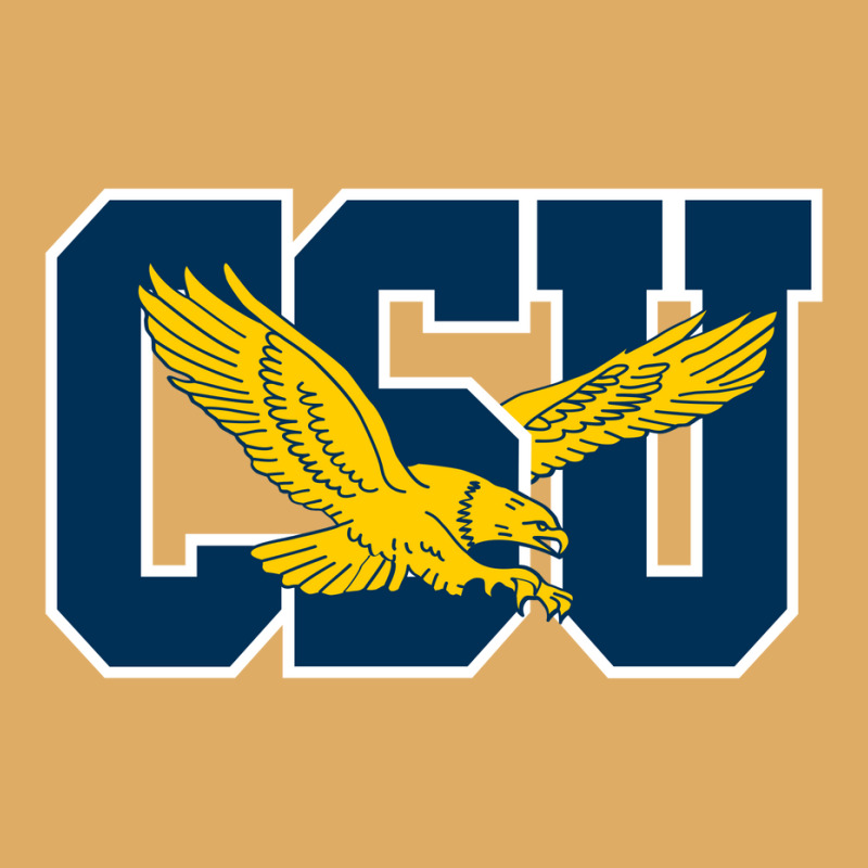 Coppin State Eagles L Urban Heavy T-shirt | Artistshot