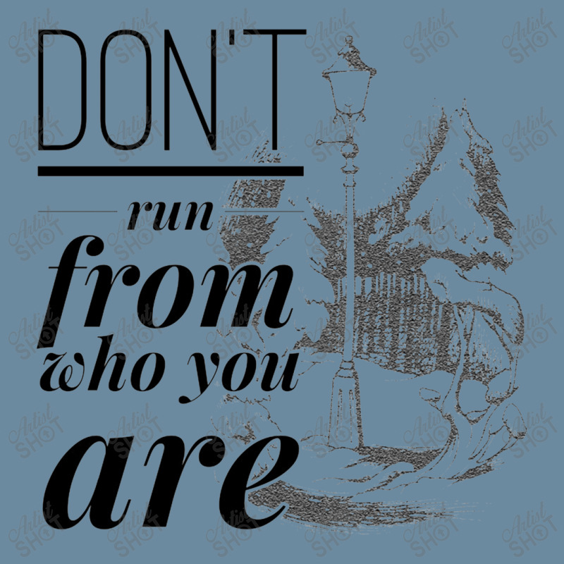 Don't Run From Who You Are   Narnia Urban Heavy T-shirt by mrdjpancake | Artistshot