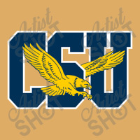 The Coppin State Eagles Urban Heavy T-shirt | Artistshot