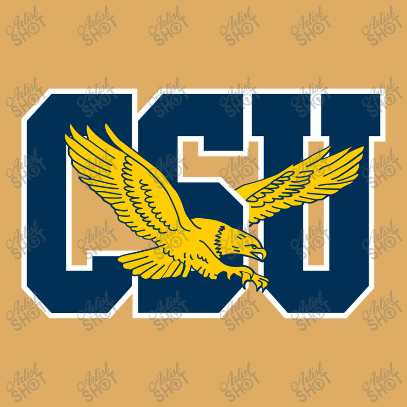 The Coppin State Eagles Urban Heavy T-shirt | Artistshot