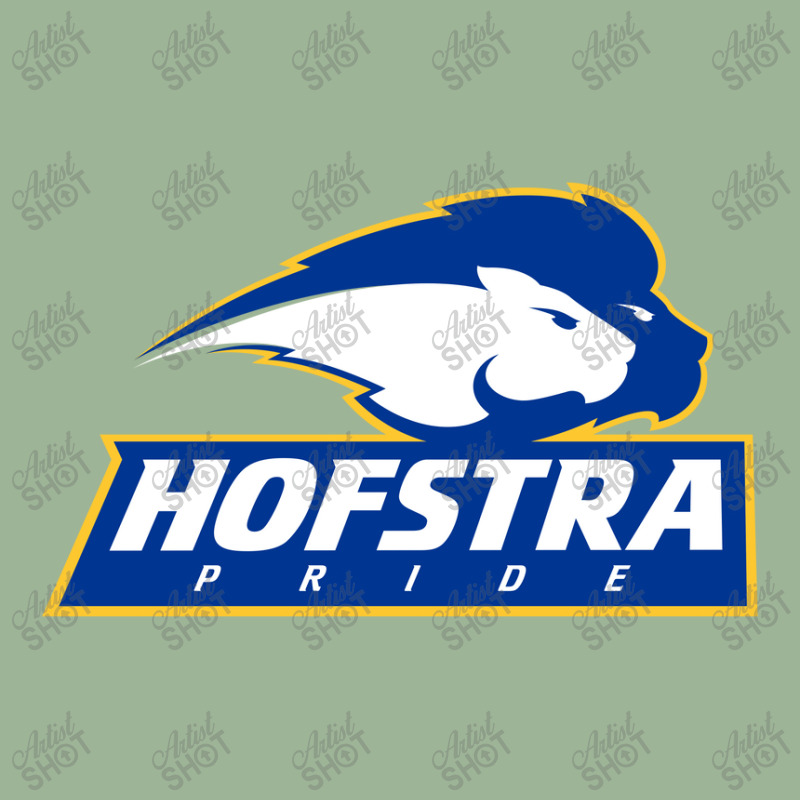 The Hofstra Pride Urban Heavy T-shirt | Artistshot