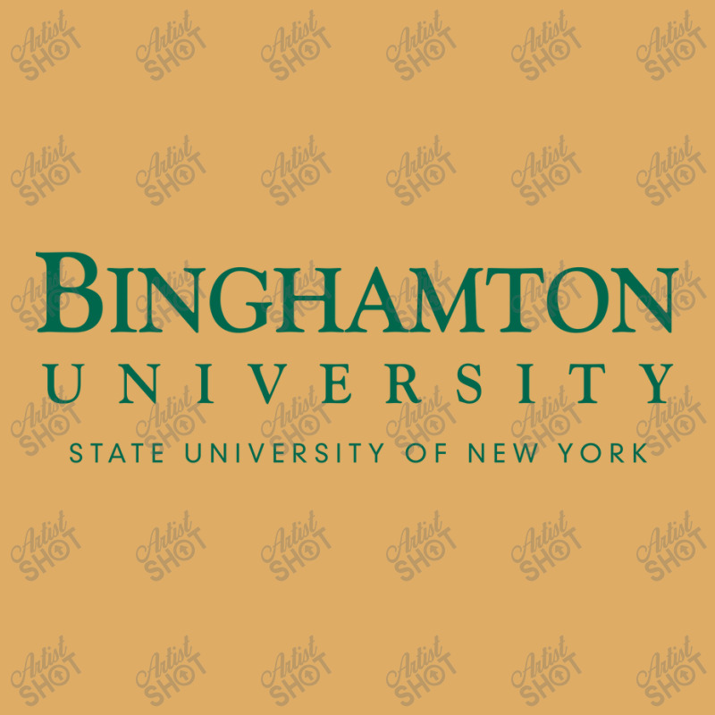 Binghamton University Urban Pullover Hoodie by Elishabeth | Artistshot