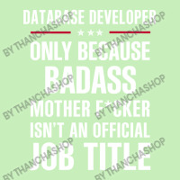 Gift For Badass Database Developer Urban Pullover Hoodie | Artistshot