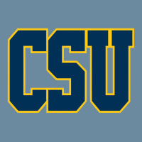 Coppin State Eagles Urban Heavy T-shirt | Artistshot