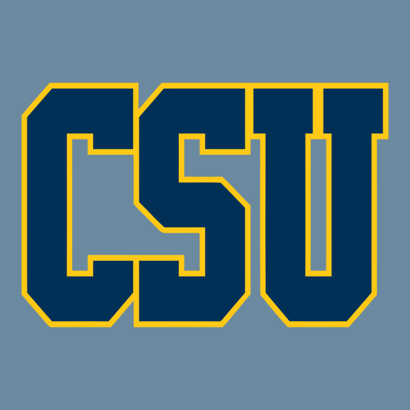 Coppin State Eagles Urban Heavy T-shirt | Artistshot