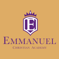 Emmanuel Christian Academy Urban Heavy T-shirt | Artistshot