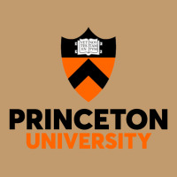 Princeton University Urban Pullover Hoodie | Artistshot