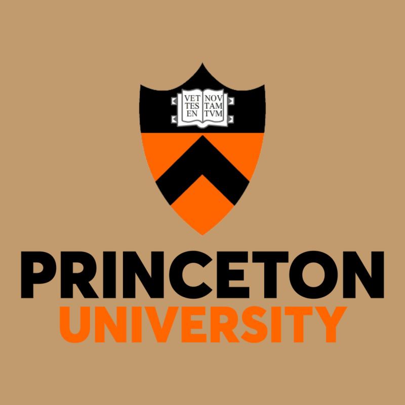 Princeton University Urban Pullover Hoodie | Artistshot