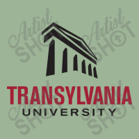 Transylvania University Urban Pullover Hoodie | Artistshot