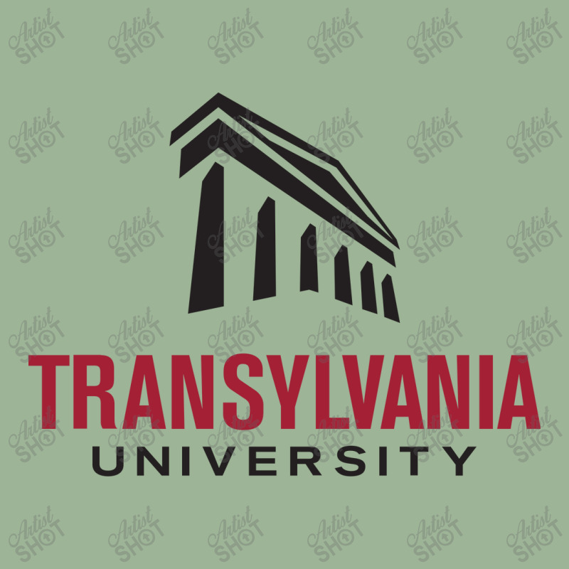 Transylvania University Urban Pullover Hoodie by hary shop | Artistshot