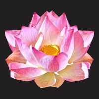 Lotus Flower T  Shirt Pink And Gold Lotus Flower T  Shirt T-shirt | Artistshot