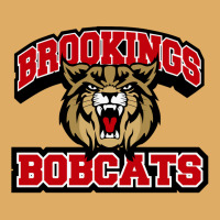 Brookings High School Urban Heavy T-shirt | Artistshot