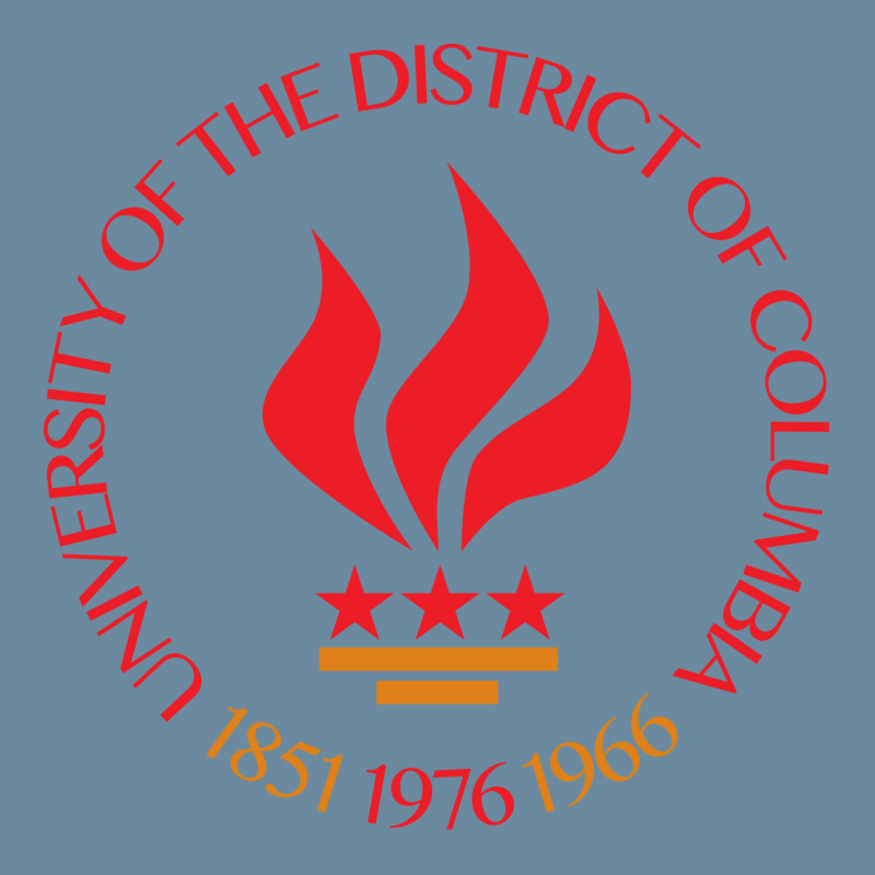 University Of The District Of Columbia Urban Heavy T-shirt by tonyleo | Artistshot