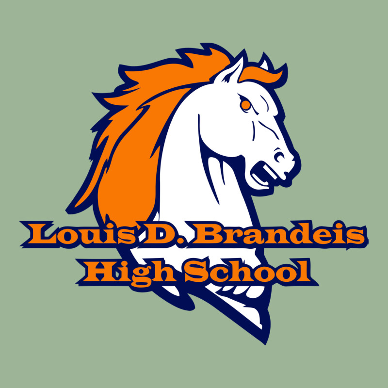 Louis D Brandeis High School, San Antonio Urban Heavy T-shirt by FormulasData | Artistshot