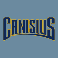 Canisius Athletics Wordmark Urban Heavy T-shirt | Artistshot