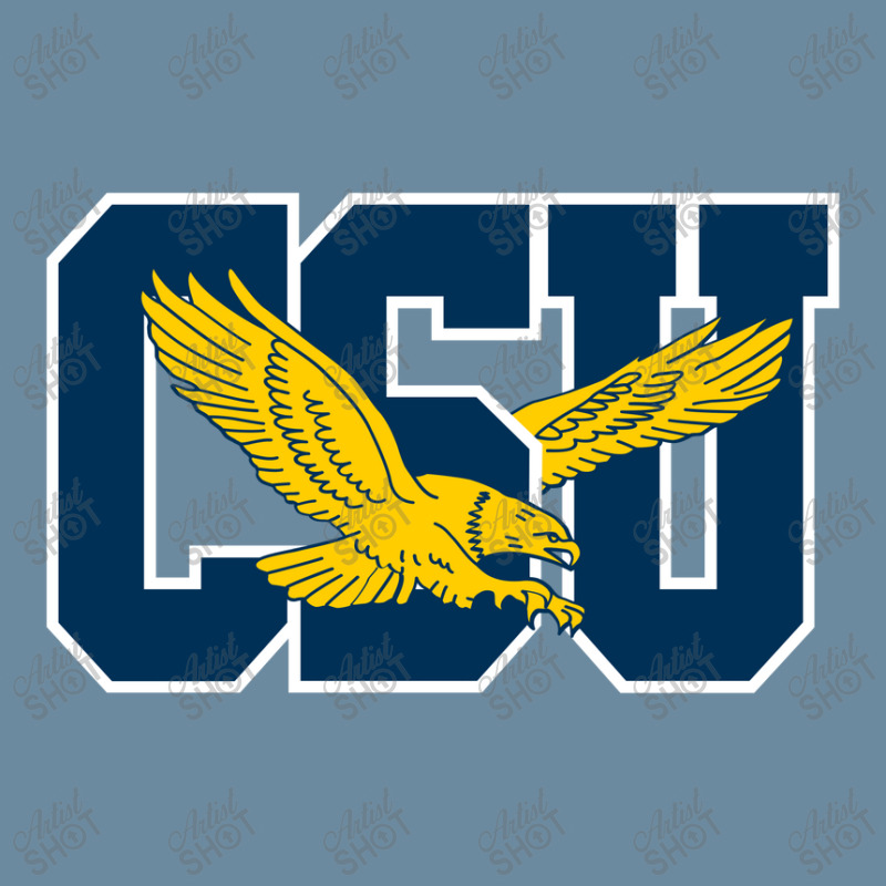 The Coppin State Eagles Urban Pullover Hoodie | Artistshot