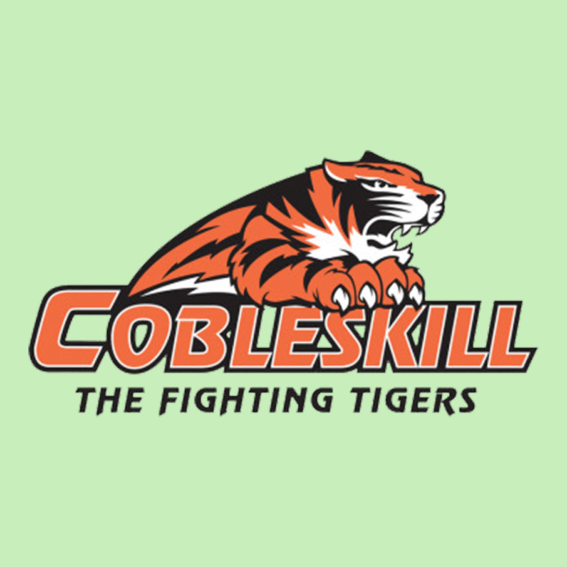 Suny Cobleskill Fighting Tigers Urban Heavy T-shirt | Artistshot