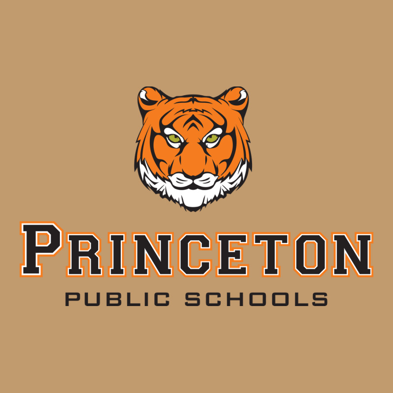 Princeton High School Urban Pullover Hoodie by QuellaLivy | Artistshot