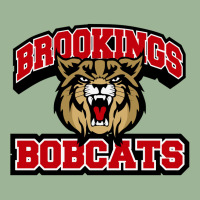 Brookings High School Urban Pullover Hoodie | Artistshot