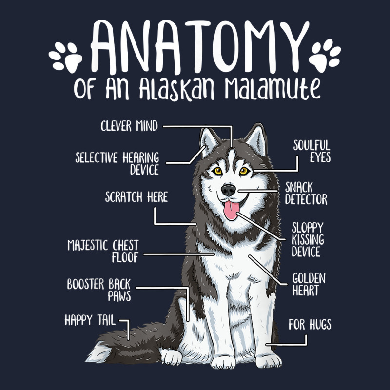 Funny Anatomy Alaskan Malamute Dog Lover T Shirt Snapback Trucker Cap | Artistshot