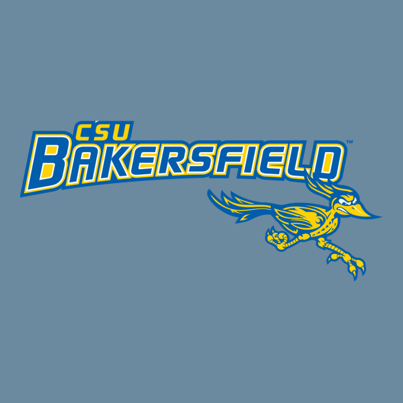 Cal State Bakersfield Roadrunners Urban Pullover Hoodie by tonyleo | Artistshot