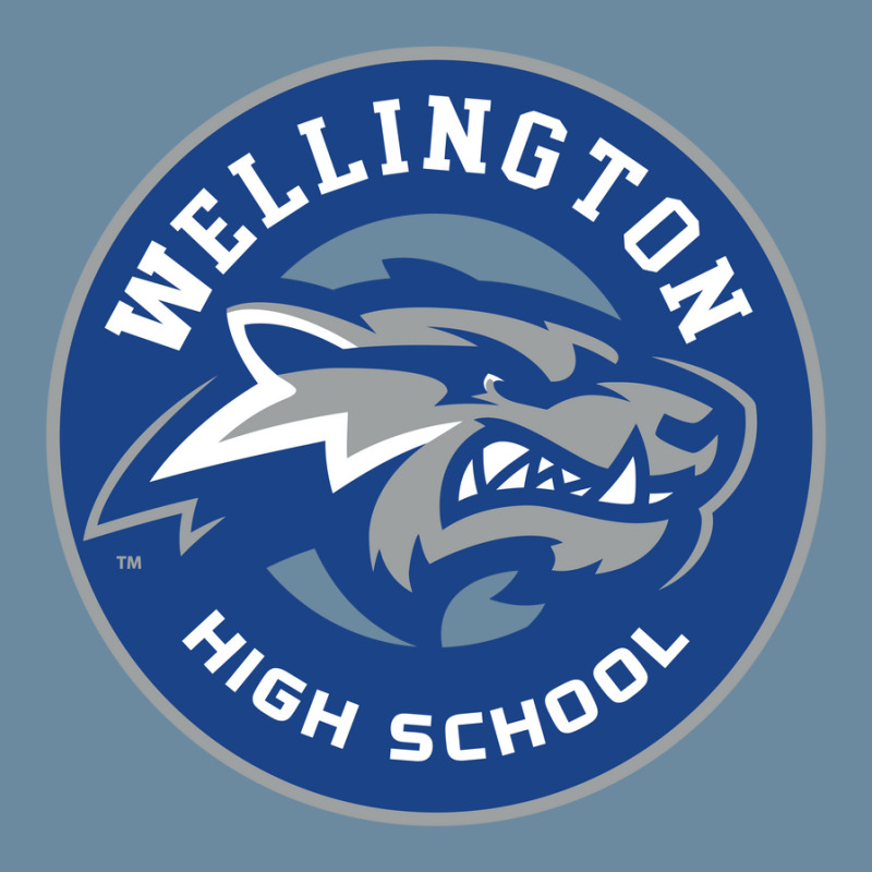 Wellington High School Urban Pullover Hoodie | Artistshot