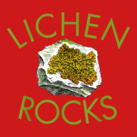 Lichen Lover Shirt, Botanist Shirt, Lichen Rocks Geology! Baseball Cap | Artistshot