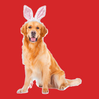 Golden Retriever Wearing Easter Bunny Ears Dog Trucker Cap | Artistshot